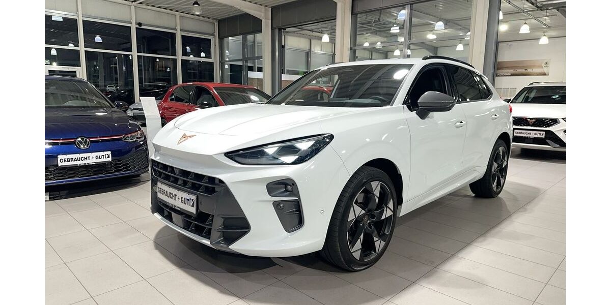 Cupra Terramar 24.190 km 39.880 &euro; Hünxe 46569