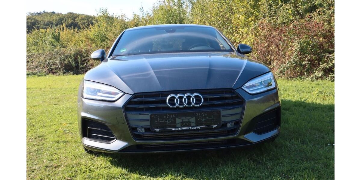 Audi A5 69.075 km 24.900 &euro; Alpen 46519