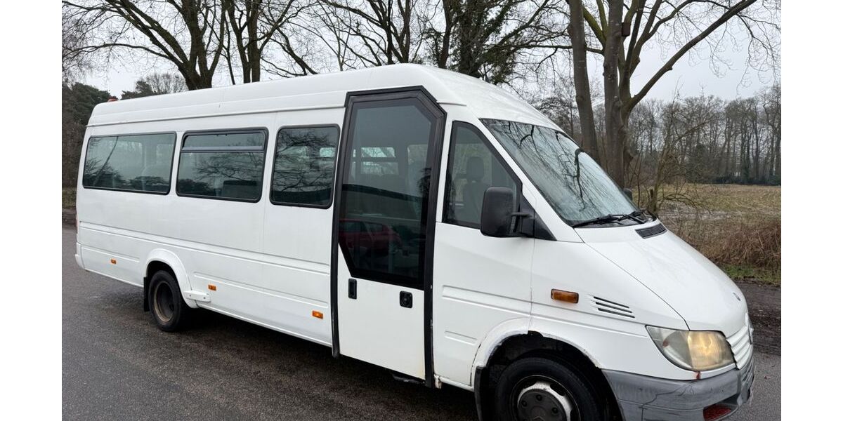 Mercedes-Benz Sprinter 310.000 km 13.500 &euro; Isselburg 46419