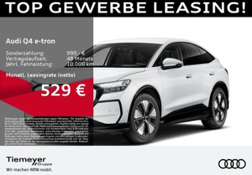 Audi Q4 e-tron 1.050 km 53.840 &euro; Dorsten 46284